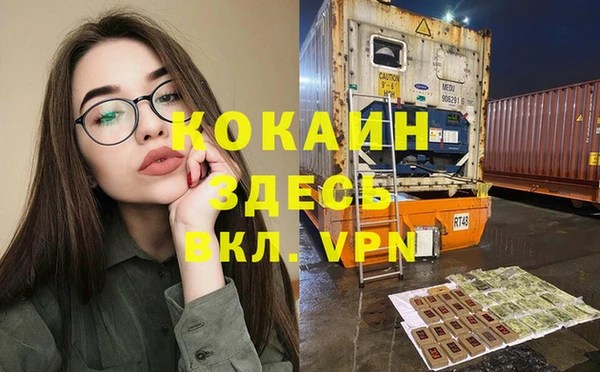 прущие грибы Балабаново