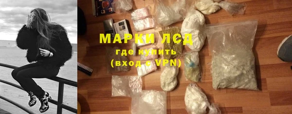 индика Тайга