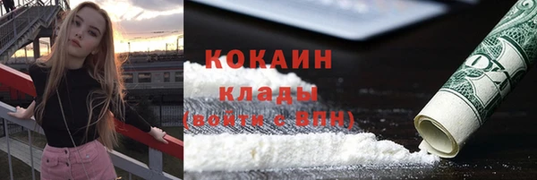 прущие грибы Балабаново
