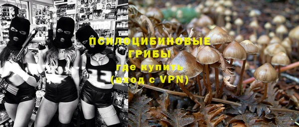 прущие грибы Балабаново