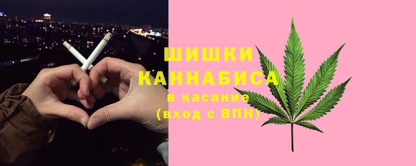 прущие грибы Балабаново